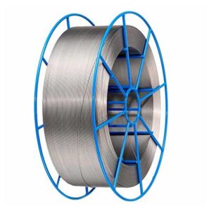 Stainless Steel Wire